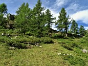 21 In decisa salita sul sentiero per il Mincucco in lariceto